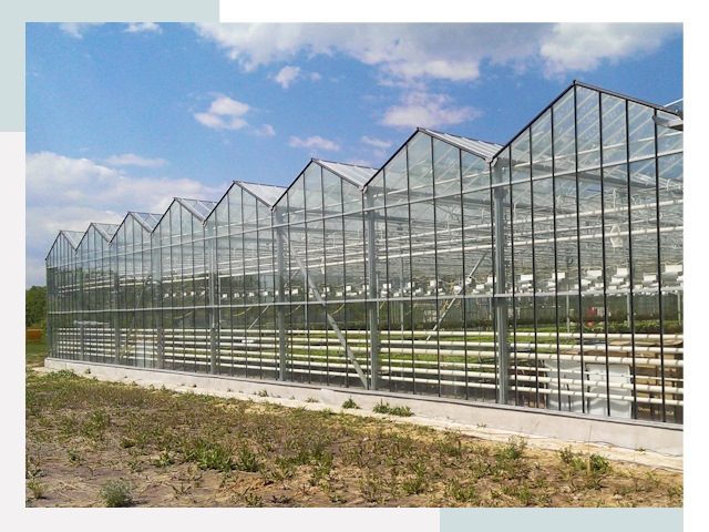 Строительство теплиц в Мыски от 609 руб. за м²