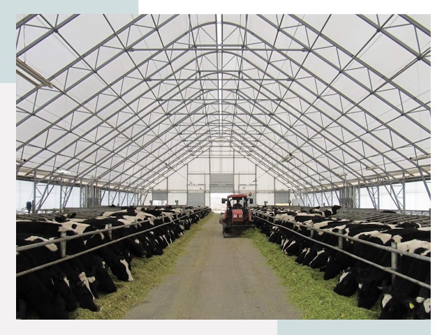 Тентовые коровники в Мысках от 609 руб. - Надежно и доступно